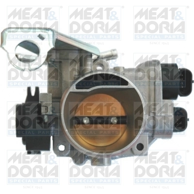 Throttle Body